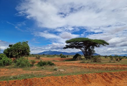 Kenia Familienreise - Kenia Family & Teens - Blick auf Landschaft im Tsavo Ost Nationalpark