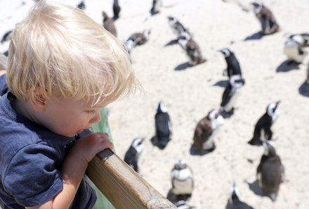 Familienreise Südafrika mit Kindern - Garden Route for family individuell deluxe - Kind beobachtet Pinguine am Boulders Beach