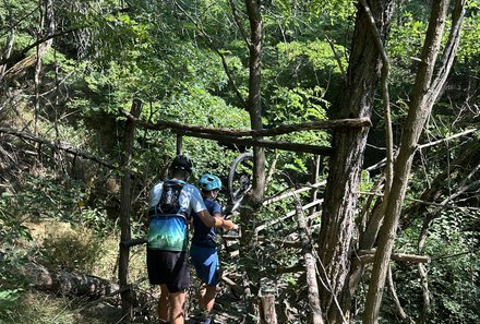 Bulgarien Familienreise - Bulgarien mit Kindern - Hotel Budapest Sofia - Brücke im Wald