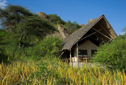 Familienreise Tansania - Tansania for family individuell deluxe - Conservation Area - Olduvai Ndogo Camp - Zelt im Grünen