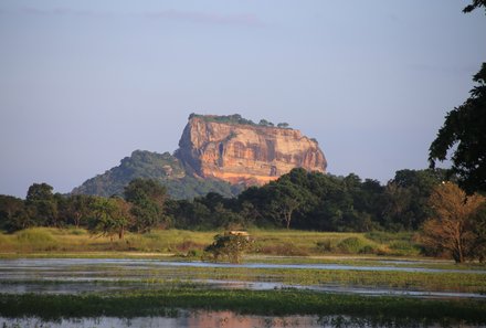 Sri Lanka Familienreise - Sri Lanka Summer for family - Safari Minneriya Nationalpark - Blick auf Sigiriya-Felsen