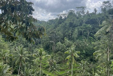 Bali mit Jugendlichen - Java & Bali Family & Teens - Palmen und Reisfelder Gunung Kawi