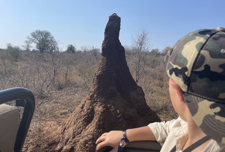 Südafrika mit Kindern - Südafrika for family - Makutsi Safari Farm - Pirschfahrt - Termitenhügel