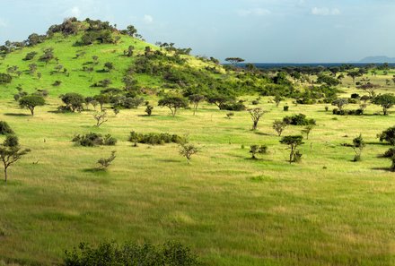 Serengeti mit Kindern individuell - Best of Familiensafari Serengeti - Grumeti Area - Landschaft - Tansania deluxe 