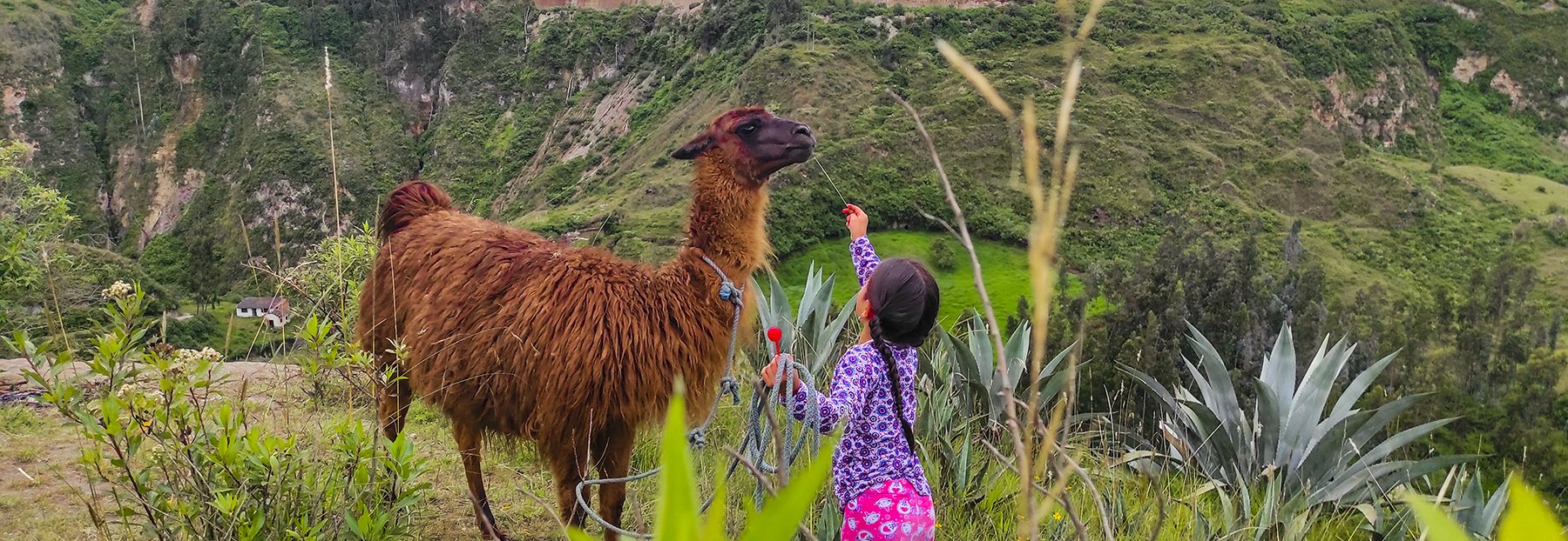 Südamerika Familienreisen - Südamerika Familienurlaub - Kind mit Lama in Ecuador