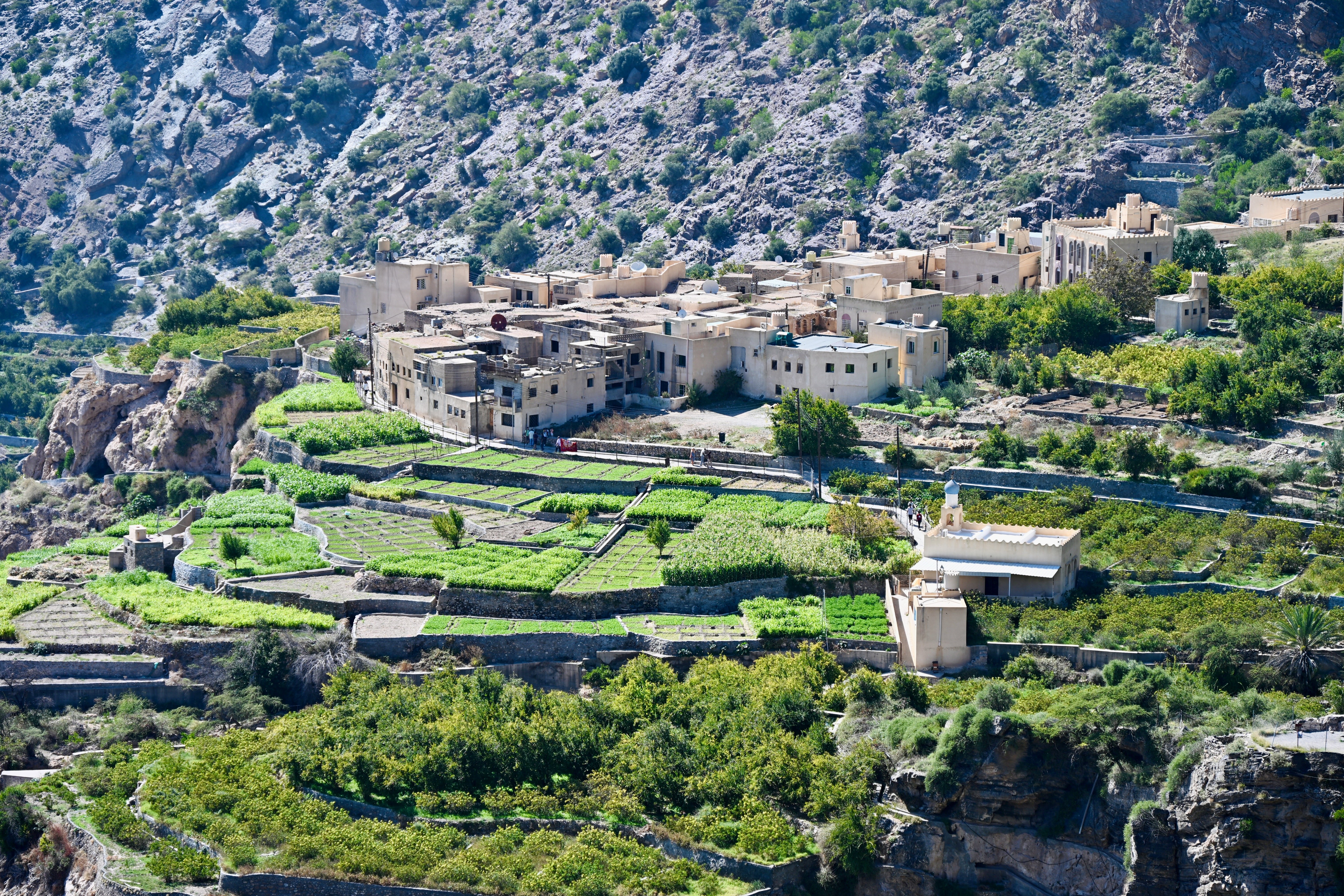 Reisebericht Oman mit Kindern - Jebel Akhdar