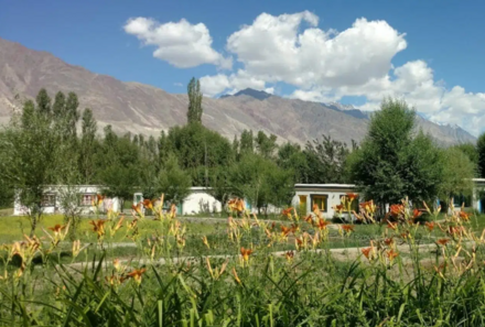 Ladakh Familienreise - Ladakh Family & Teens - Nubra Lharimo North - Bergblick