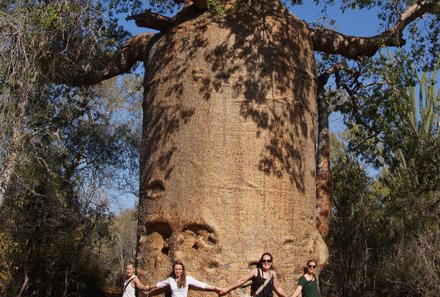 Madagaskar Familienreise - Madagaskar Family & Teens - Teekannen-Baobab