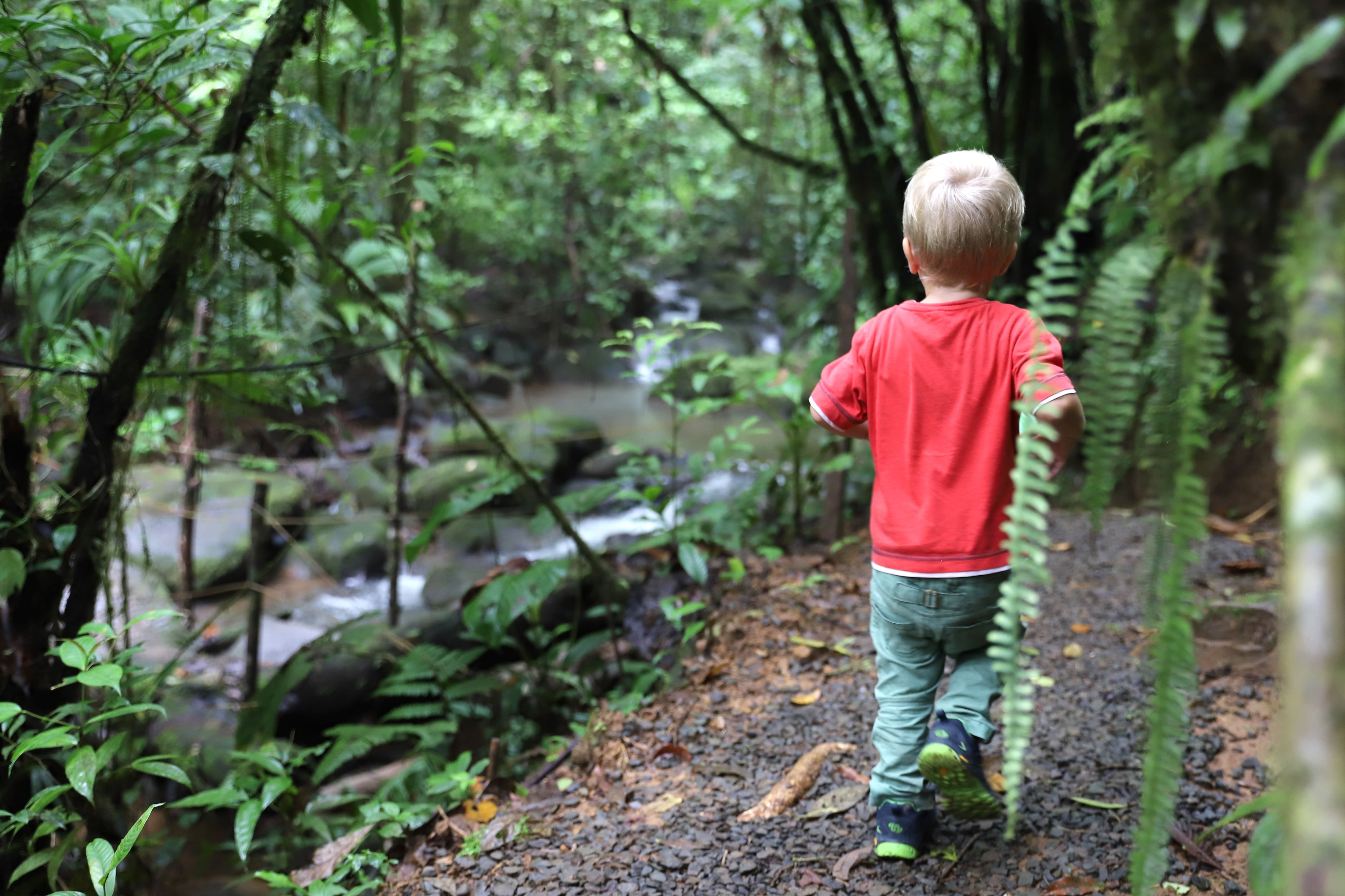 Urlaub mit Kleinkind - Reisen mit Kleinkindern - Fernreise mit Kleinkind - Costa Rica - Kleinkind im Regenwald