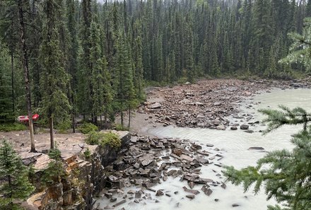 Westkanada Camping for family - Rocky Mountains mit Kindern - Wald Athabasca Falls