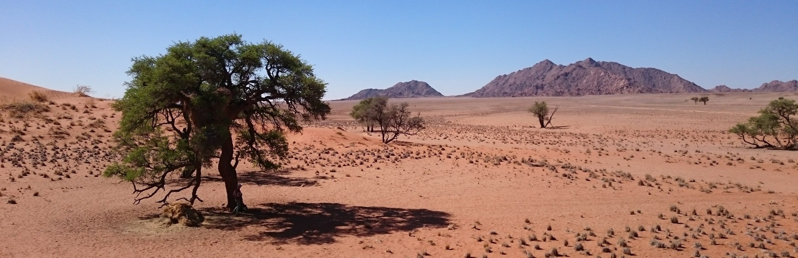 Reiseinformationen Namibia Reisen Mit Kindern