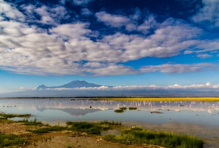 Kenia Familienreise - Kenia for family individuell - Best of Safari & Chale Island - Safari im Amboseli Nationalpark - See mit Flamingos