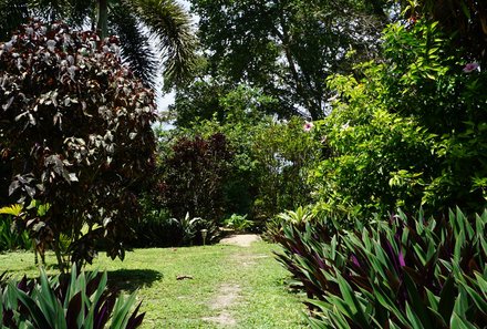 Panama for family individuell - Panama Familienreise mit Kindern - Turtle Beach House - Garten