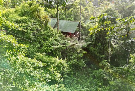 Costa Rica mit Kindern - Regenwaldprojekt: La Tigra Rainforest Lodge - Blick auf Baumhaus