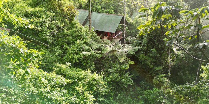 Costa Rica nachhaltig auf einer Familienreise erkunden - Regenwald